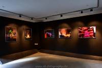 Ausstellung Lightpainting Maximilianpark