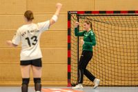 Olaf Kerber Handball DHB D-Cup Samstag Hannover 207