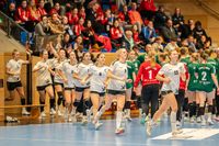 Olaf Kerber Handball DHB D-Cup Samstag Hannover 152