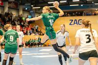 Olaf Kerber Handball DHB D-Cup Samstag Hannover 157