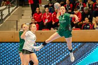 Olaf Kerber Handball DHB D-Cup Samstag Hannover 160