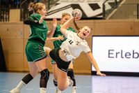 Olaf Kerber Handball DHB D-Cup Samstag Hannover 178