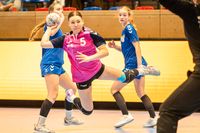 Olaf Kerber Handball DHB D-Cup Samstag Hannover 047