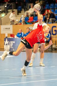 Olaf Kerber Handball DHB D-Cup Samstag Hannover 011