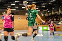 Olaf Kerber Handball DHB D-Cup Sonntag Hannover 345