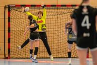 Olaf Kerber Handball DHB D-Cup Sonntag Hannover 301