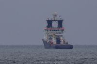 Naturfotografie Wildlifefotografie Helgoland 009