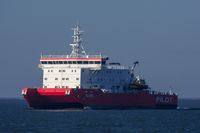 Wildlifefotografie Naturfotografie Helgoland D&uuml;ne Olaf Kerber 019