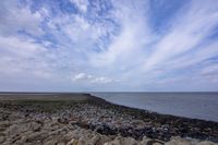 Wildlifefotografie Naturfotografie Nordsee Cuxhaven Olaf Kerber 003