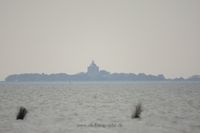 Wildlifefotografie Naturfotografie Nordsee Cuxhaven Olaf Kerber 013