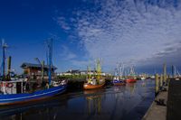 Wildlifefotografie Naturfotografie Nordsee Dorum Cappel Olaf Kerber 048