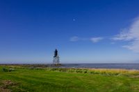 Wildlifefotografie Naturfotografie Nordsee Dorum Cappel Olaf Kerber 051