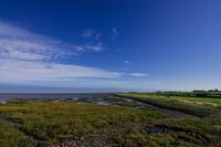 Wildlifefotografie Naturfotografie Nordsee Dorum Cappel Olaf Kerber 053