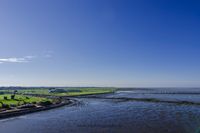 Wildlifefotografie Naturfotografie Nordsee Dorum Cappel Olaf Kerber 056