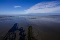 Wildlifefotografie Naturfotografie Nordsee Dorum Cappel Olaf Kerber 057