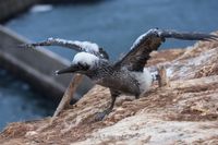 Wetterfotografie Naturfotografie Helgoland Sturm Olaf Kerber 022