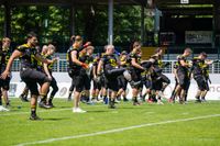 Sportfotografie American Football GFL2 Blackhawks Longhorns Olaf Kerber 103